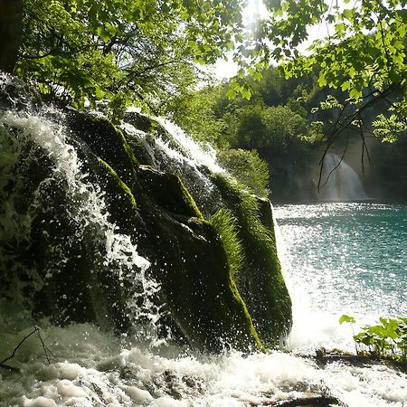 Готель Plitvice Pansion Lovric Плитвицька Єзера Екстер'єр фото
