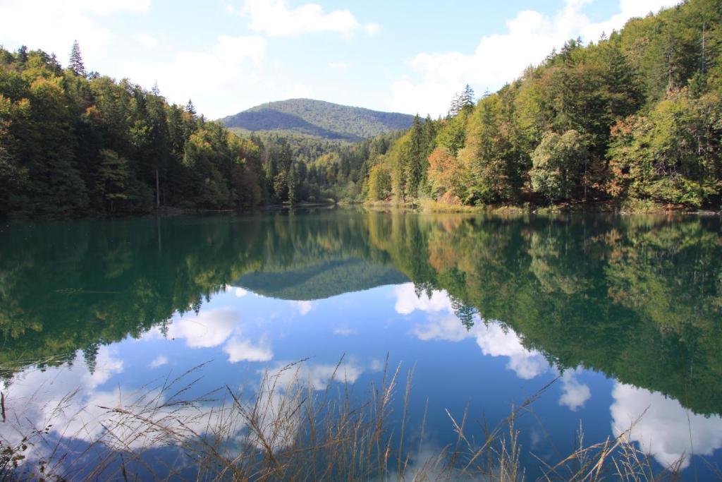 Готель Plitvice Pansion Lovric Плитвицька Єзера Екстер'єр фото